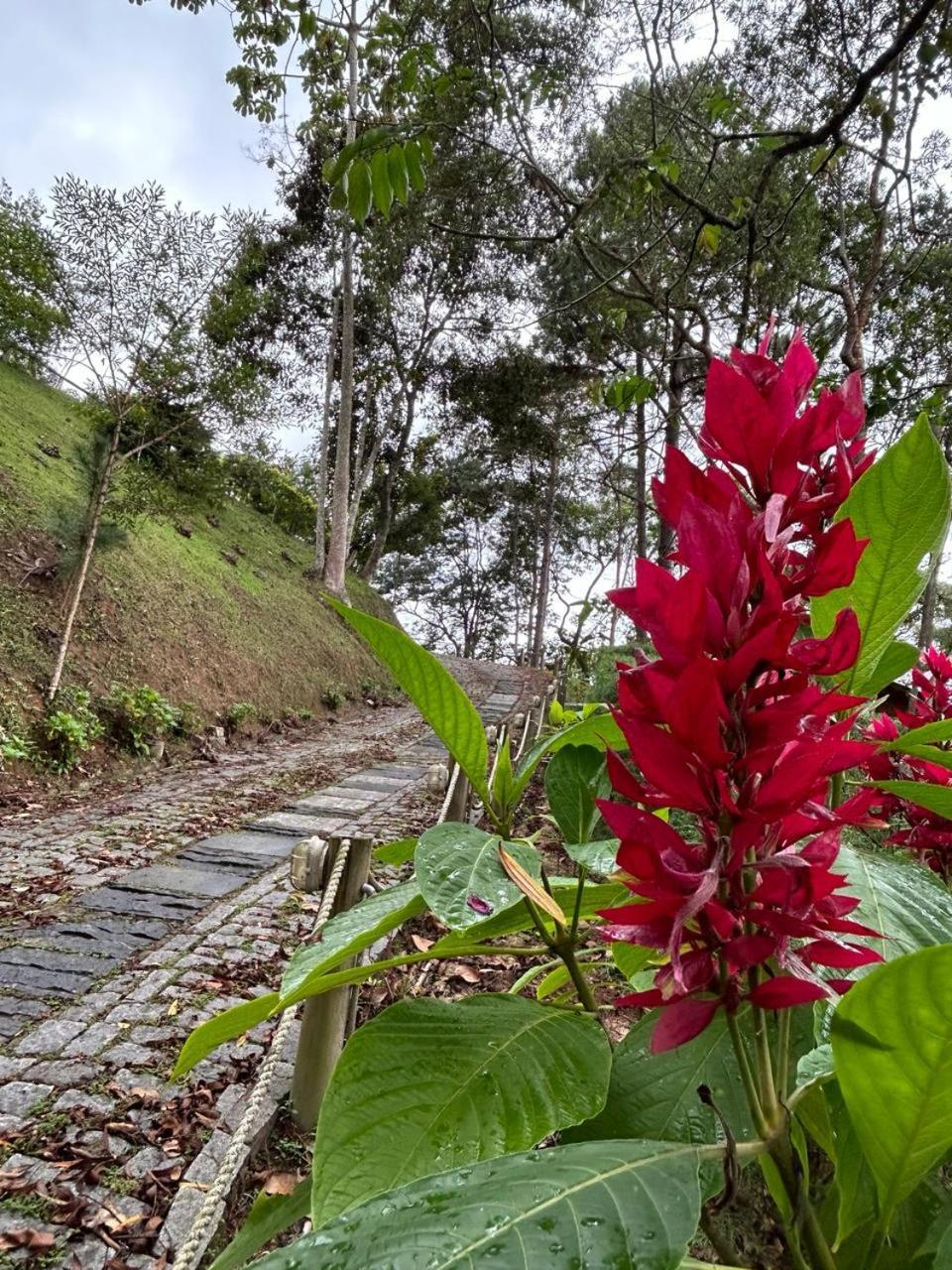 Chale Ipe Branco Otel Pedra Azul  Dış mekan fotoğraf
